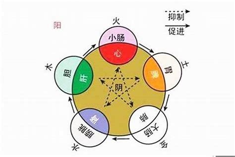 尚字五行|尚字五行属什么属性